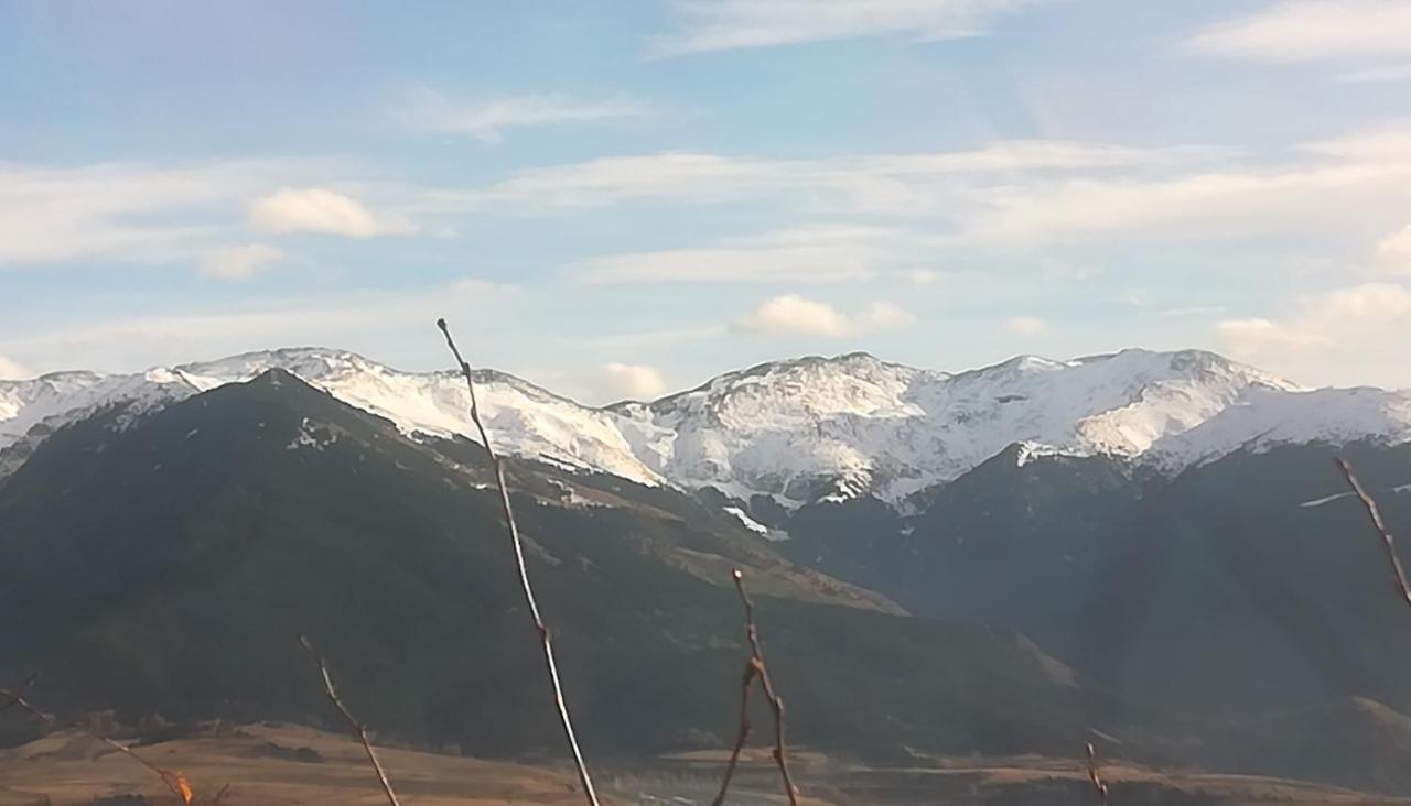 Pyrenees Catalanes Tres Joli Appartement 300M Telecabines Font-Romeu-Odeillo-Via Exterior foto