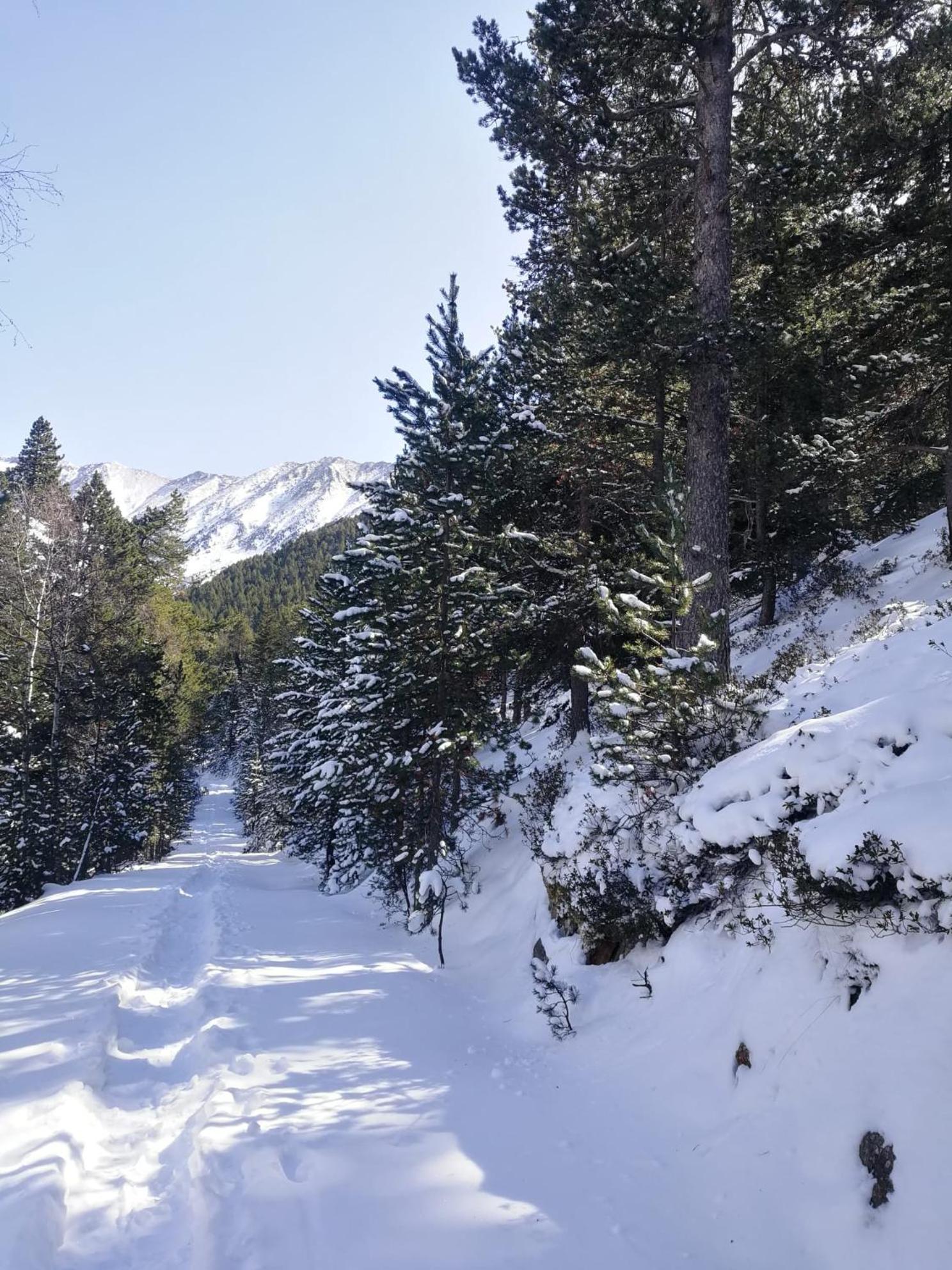 Pyrenees Catalanes Tres Joli Appartement 300M Telecabines Font-Romeu-Odeillo-Via Exterior foto